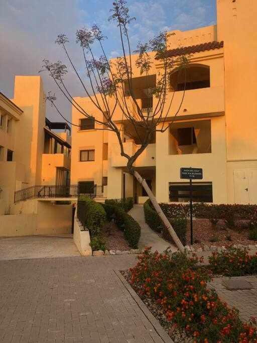 Casa Palmera Сан Хавиер Екстериор снимка